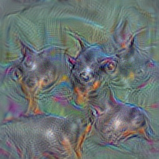 n02107142 Doberman, Doberman pinscher